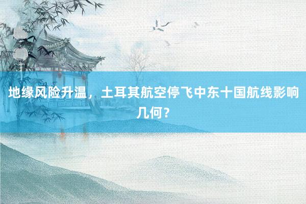 地缘风险升温，土耳其航空停飞中东十国航线影响几何？