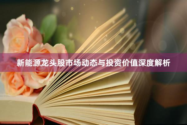 新能源龙头股市场动态与投资价值深度解析