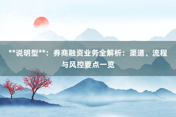 **说明型**：券商融资业务全解析：渠道、流程与风控要点一览
