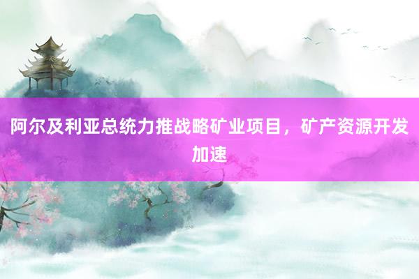阿尔及利亚总统力推战略矿业项目，矿产资源开发加速
