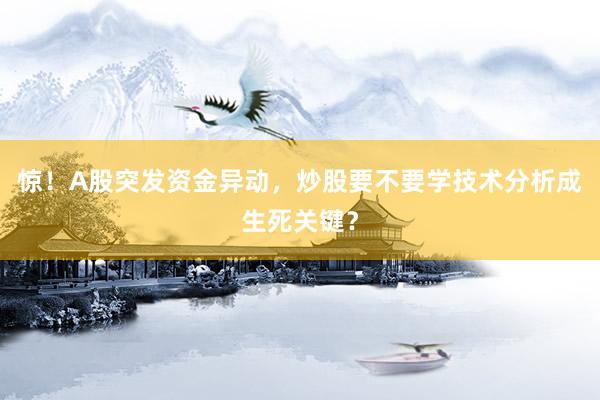 惊！A股突发资金异动，炒股要不要学技术分析成生死关键？