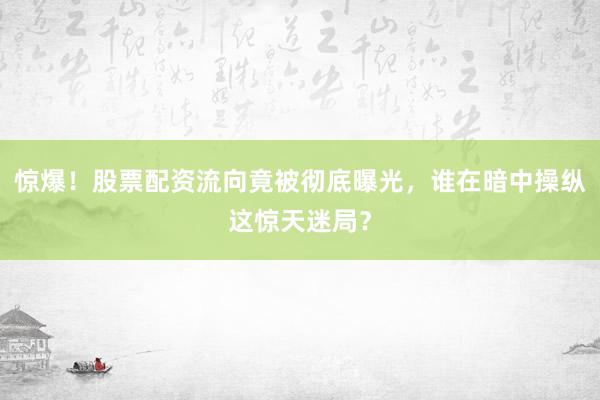 惊爆！股票配资流向竟被彻底曝光，谁在暗中操纵这惊天迷局？